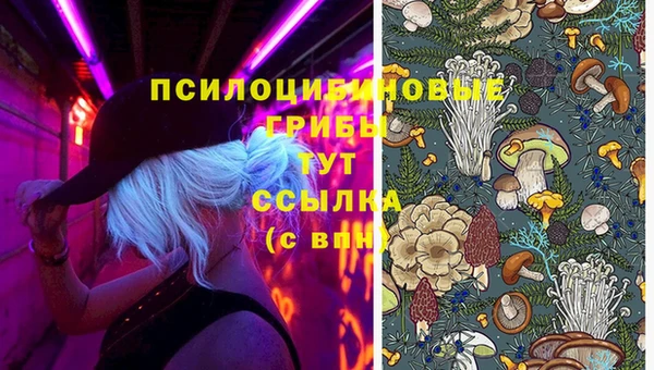 дживик Навашино